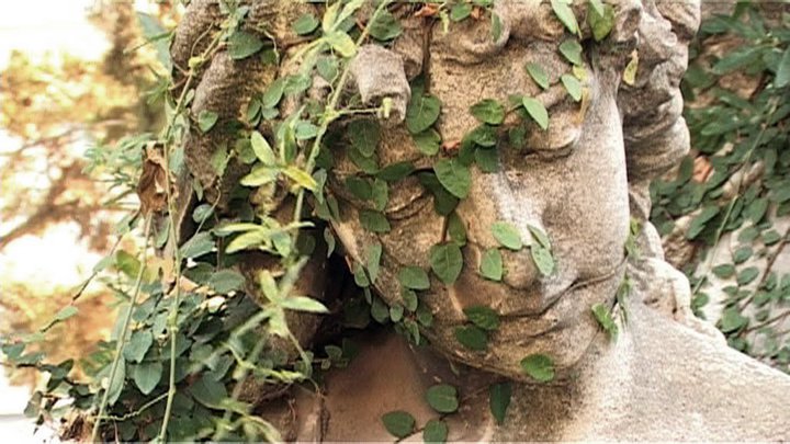 tierra de los padres