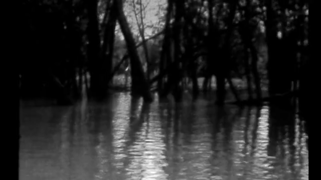 vlcsnap-2013-11-07-19h53m18s172