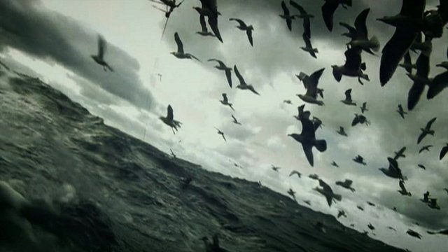 Leviathan