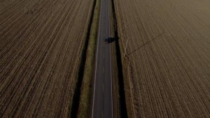 Tom-at-the-farm-06