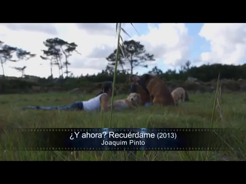 vlcsnap-2014-10-22-13h53m23s30