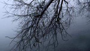 vlcsnap-2014-12-10-13h35m21s227
