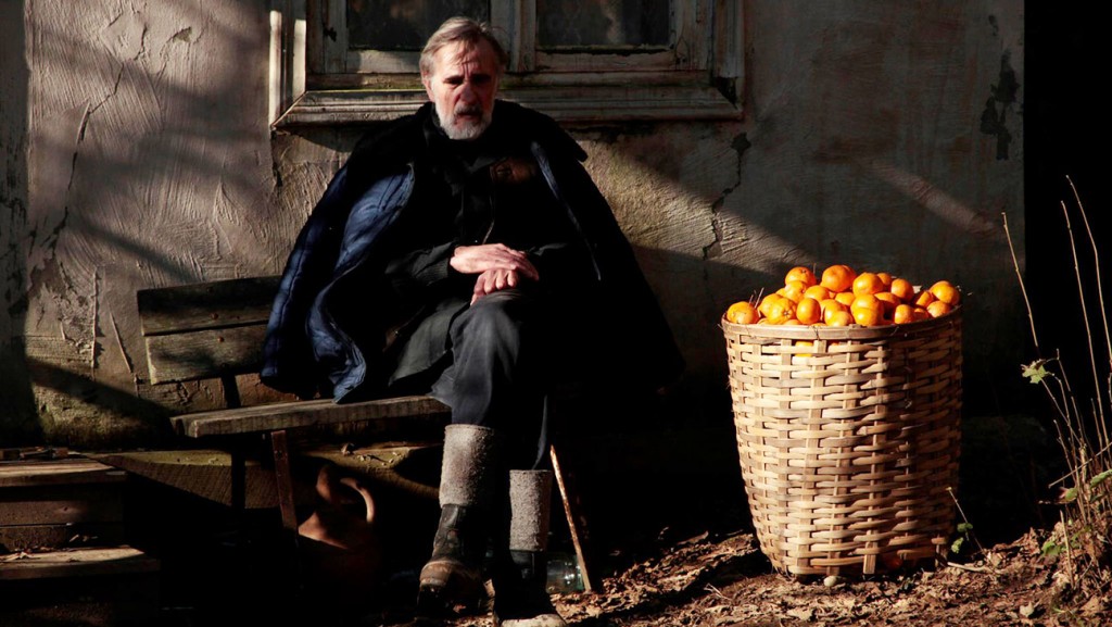 mandariinid_tangerines_still