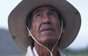 82c9896accfae21c074ffa27764d1118366c36c6