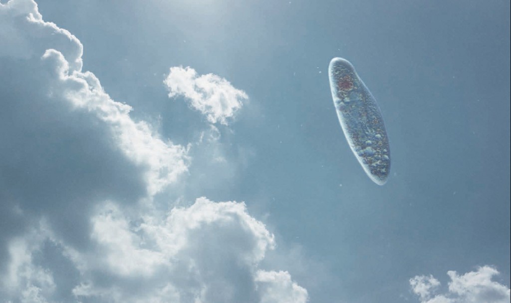 cannes2015apichatpong1