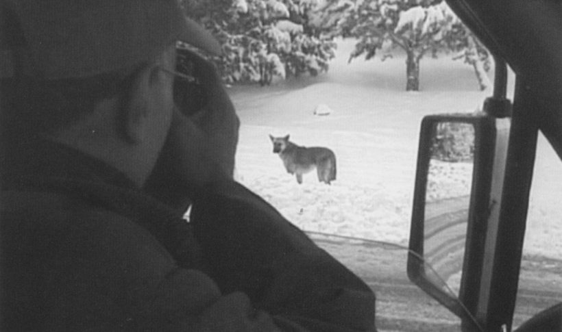 ABBAS KIAROSTAMI (1940-2016): EL VIENTO NOS LLEVARÁ