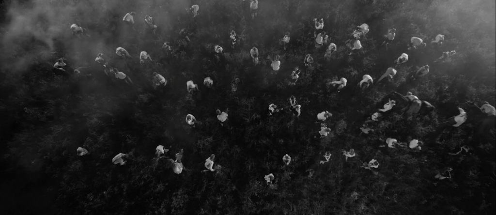 vlcsnap-2016-08-05-16h11m01s116