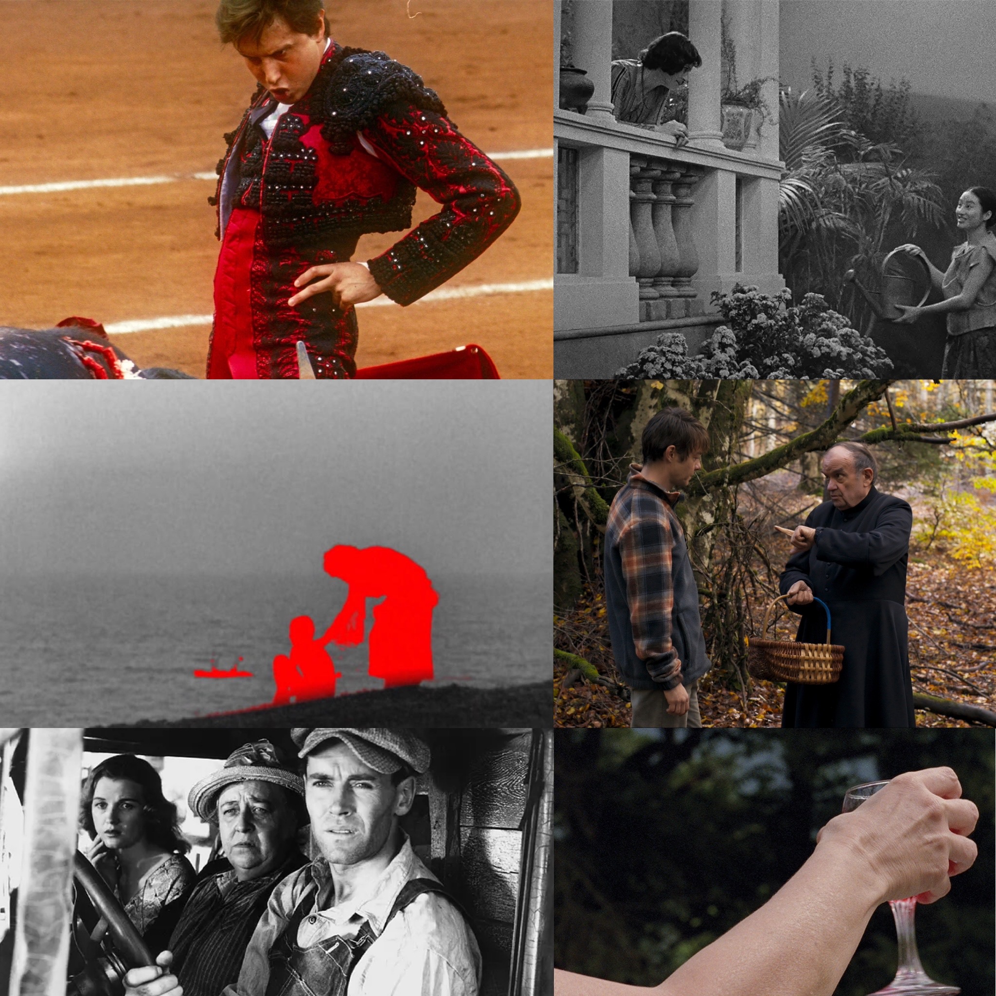 Michi marin video filtrado