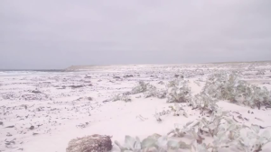 LAS PELÍCULAS DE UNASUR (06): LAS ISLAS Y SUS DOBLES