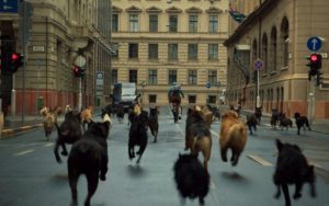 CANNES 2014 (04): HISTORIAS ORDINARIAS