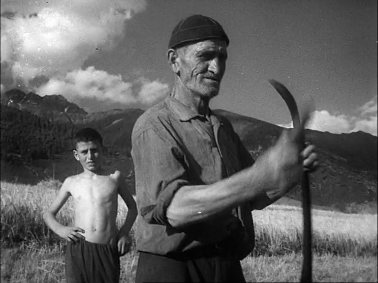 ENTRENAMIENTO ELEMENTAL PARA CINÉFILOS