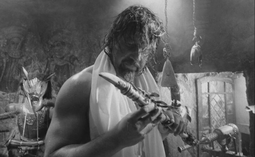 29 FESTIVAL INTERNACIONAL DE CINE DE MAR DEL PLATA 2014 (12): HARD TO BE A GOD