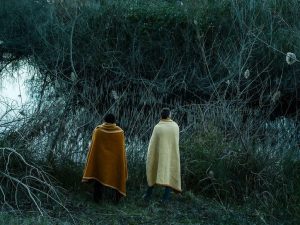 FESTIVAL INTERNACIONAL DE CINE DE MAR DEL PLATA 2016 (06): UNA MIRADA GENERAL Y ALGUNAS RECOMENDACIONES