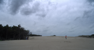 PINAMAR
