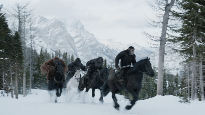 EL PLANETA DE LOS SIMIOS: LA GUERRA / WAR FOR THE PLANET OF THE APES