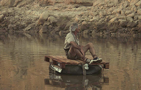 LA SIESTA DEL TIGRE