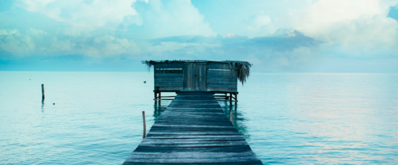 23 FESTIVAL INTERNACIONAL DE CINE DE MAR DEL PLATA 2017 (06):
