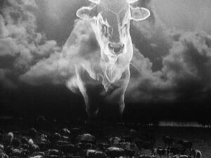 FILMOTECA -TEMAS DE CINE-: SERGEI EISENSTEIN