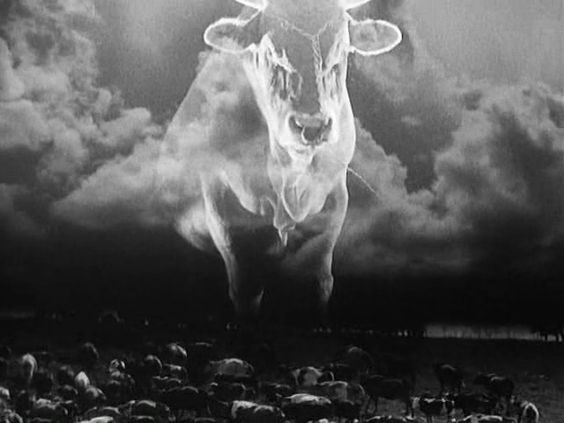 FILMOTECA -TEMAS DE CINE-: SERGEI EISENSTEIN