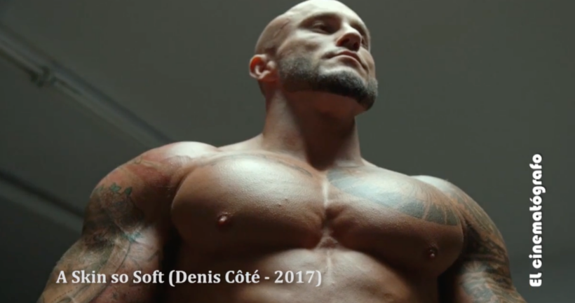 EL CINEMATÓGRAFO 2017 (16 Y 17): WISEMAN, CÔTÉ, WITTMANN, WOHLATZ, ARDITO-MOLINA, COPPOLA