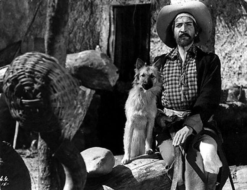 39 FESTIVAL DE 3 CONTINENTS 2017 (04): LAS PELÍCULAS ARGENTINAS: DEMARE, COZARINSKY, PERRONE, CARRI, ACHA, MOGUILLANSKY, PRIVIDERA