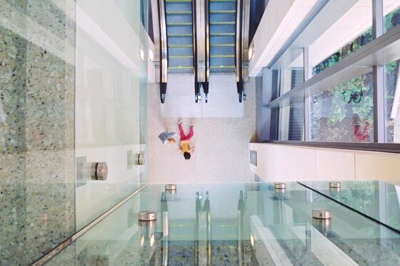 EL SACRIFICIO DEL CIERVO SAGRADO / THE KILLING OF A SACRED DEER