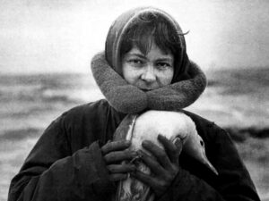 BAFICI 2018 (01): RECOMENDACIONES