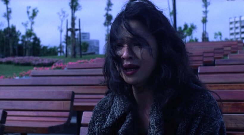 BAFICI 2018 (08): MEMORIAS DE OTOÑO