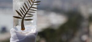 CANNES 2018 (09): LOS PREMIOS IMAGINARIOS
