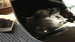 A LETTER FROM HIROSHIMA