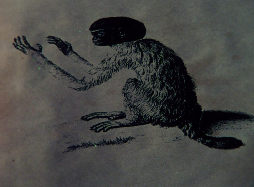 LAS PELÍCULAS SECRETAS (58): MBURUCUYÁ (CUADROS DE LA NATURALEZA)