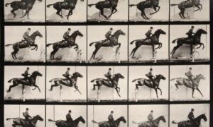 LA COLUMNA DE KOGER ROZA: MUYBRIDGE, ILUSIONISTA Y PRECURSOR