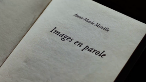 EL LIBRO DE IMAGEN / LE LIVRE D’IMAGE