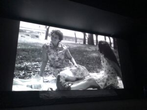 LA JOVEN FLOR PLATÓNICA