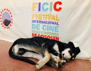 9 FICIC: LA ENERGÍA INAGOTABLE