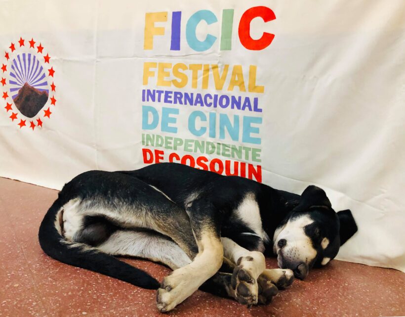 9 FICIC: LA ENERGÍA INAGOTABLE