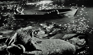 LA CINEFILIA COMO FORMA DE VIDA