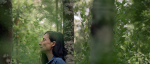 FESTIVAL INTERNACIONAL DE CINE DE MAR DEL PLATA (09): A PROPÓSITO DE LA PRECISIÓN SENSIBLE