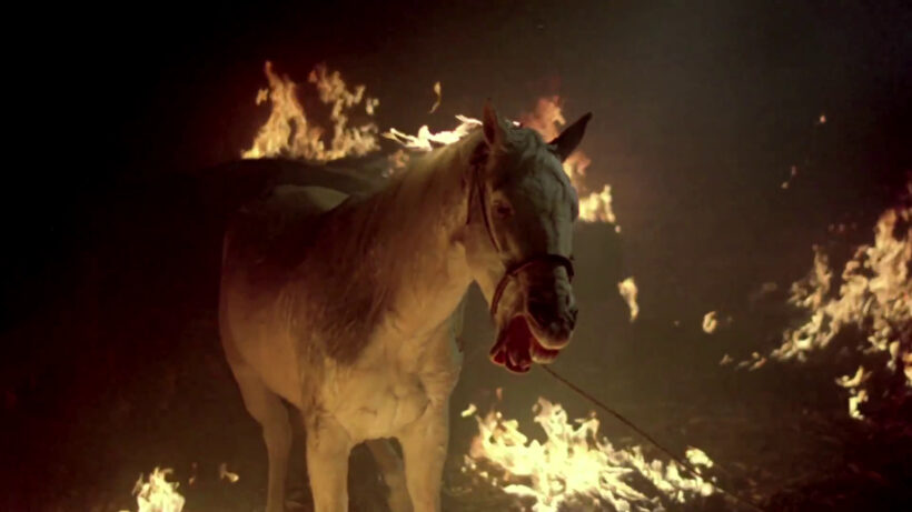 ESTRENOS ETERNOS (17): LA PASIÓN SEGÚN BERENICE