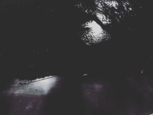 LA CASA DEL CINEASTA: UNA MARAÑA DE HILOS ROJOS