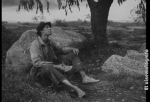 EL CINEMATÓGRAFO: VIEJOS Y NUEVOS PROGRAMAS