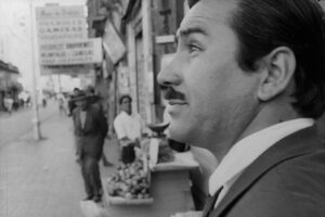 CRÍTICAS BREVES (153): TRES TRISTES TIGRES