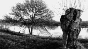 SEGUNDA UNIDAD: LA MORA VENENOSA. FRAGMENTOS DE UN FILM ABANDONADO