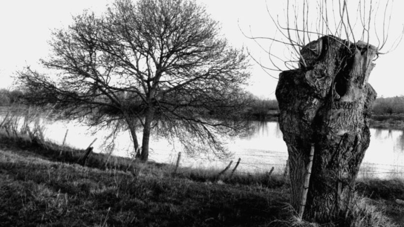 SEGUNDA UNIDAD: LA MORA VENENOSA. FRAGMENTOS DE UN FILM ABANDONADO