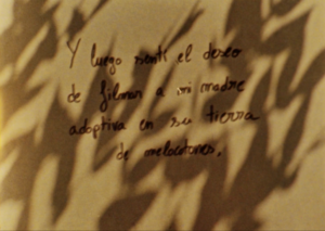 FESTIVAL INTERNACIONAL DE CINE DE VALDIVIA 2020 (02): SOTOMAYOR Y SIMÓN