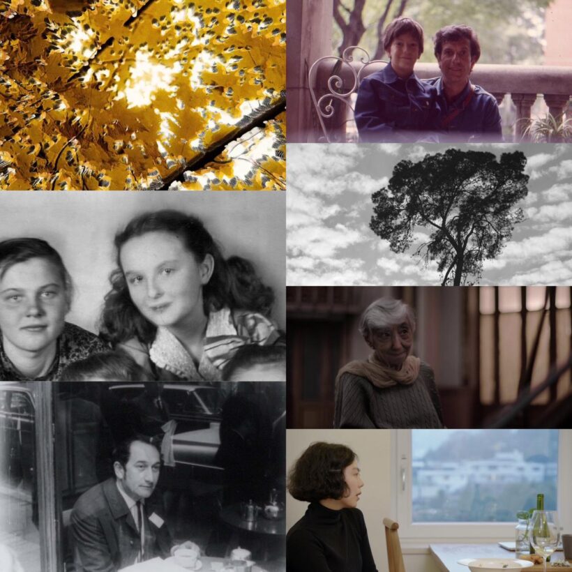 FESTIVAL INTERNACIONAL DE CINE DE MAR DEL PLATA 2020 (01): ALGUNAS RECOMENDACIONES