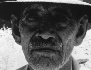 LOS HIJOS DE SOLANAS