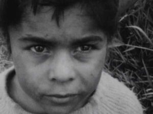ÉRASE UNA VEZ BRASIL: LOS HIJOS (BRASILEÑOS) DE SOLANAS