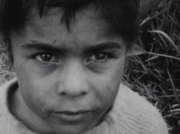 ÉRASE UNA VEZ BRASIL: LOS HIJOS (BRASILEÑOS) DE SOLANAS