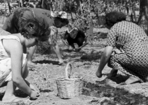 CRÍTICAS BREVES (171): ESSERE DONNE